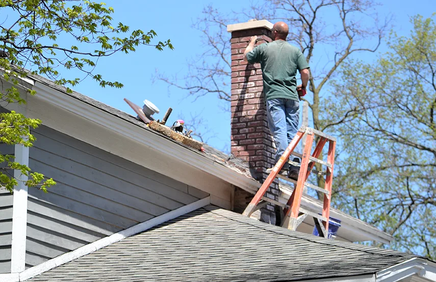 Chimney & Fireplace Inspections Services in Edmonds, WA